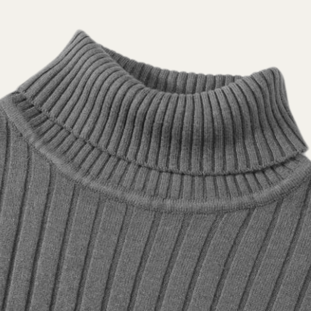 The Tavolara Men’s Slim Fit Turtleneck Ribbed Knit Sweater