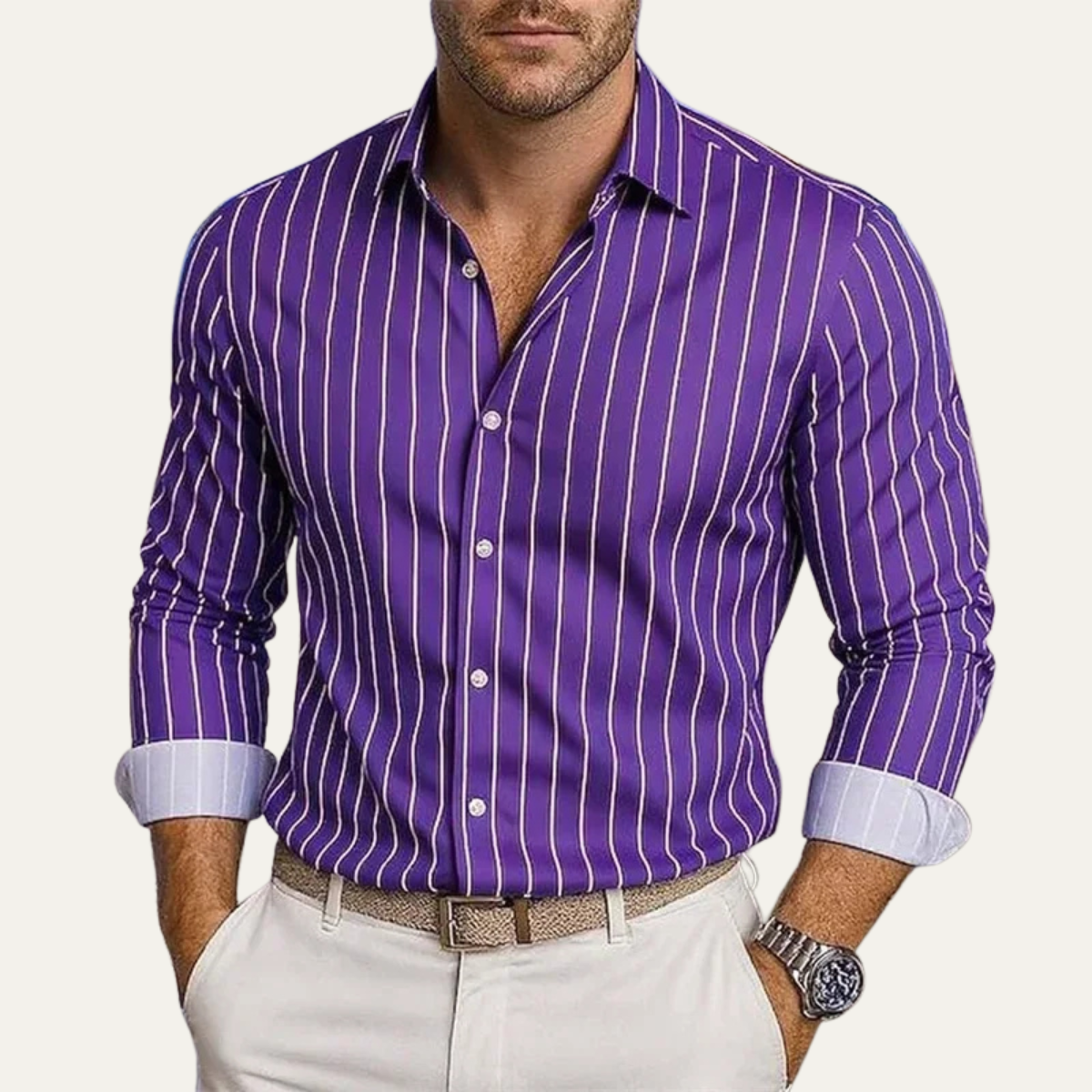 The Bolzano Men’s Trendy Button Down Striped Dress Shirt
