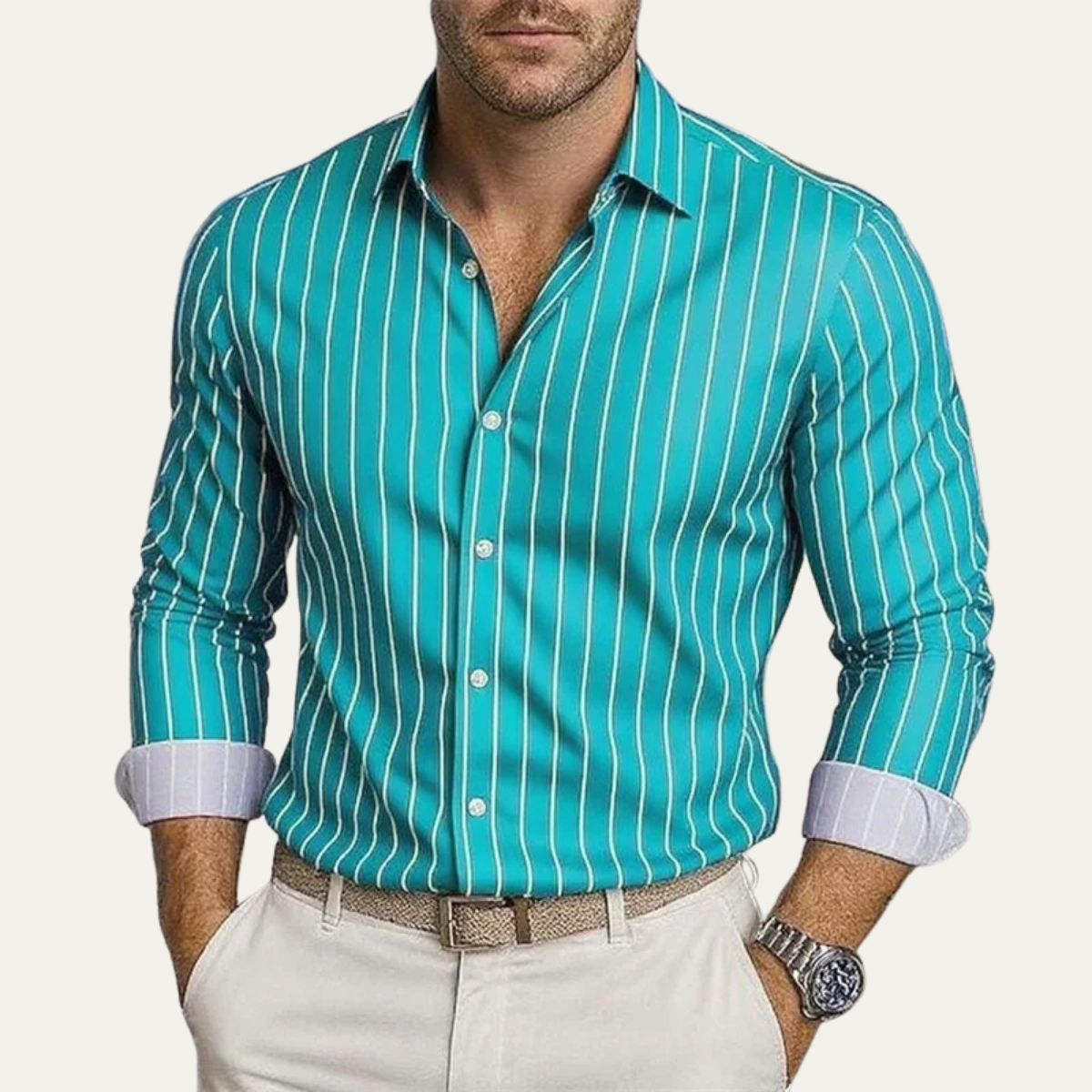 The Bolzano Men’s Trendy Button Down Striped Dress Shirt