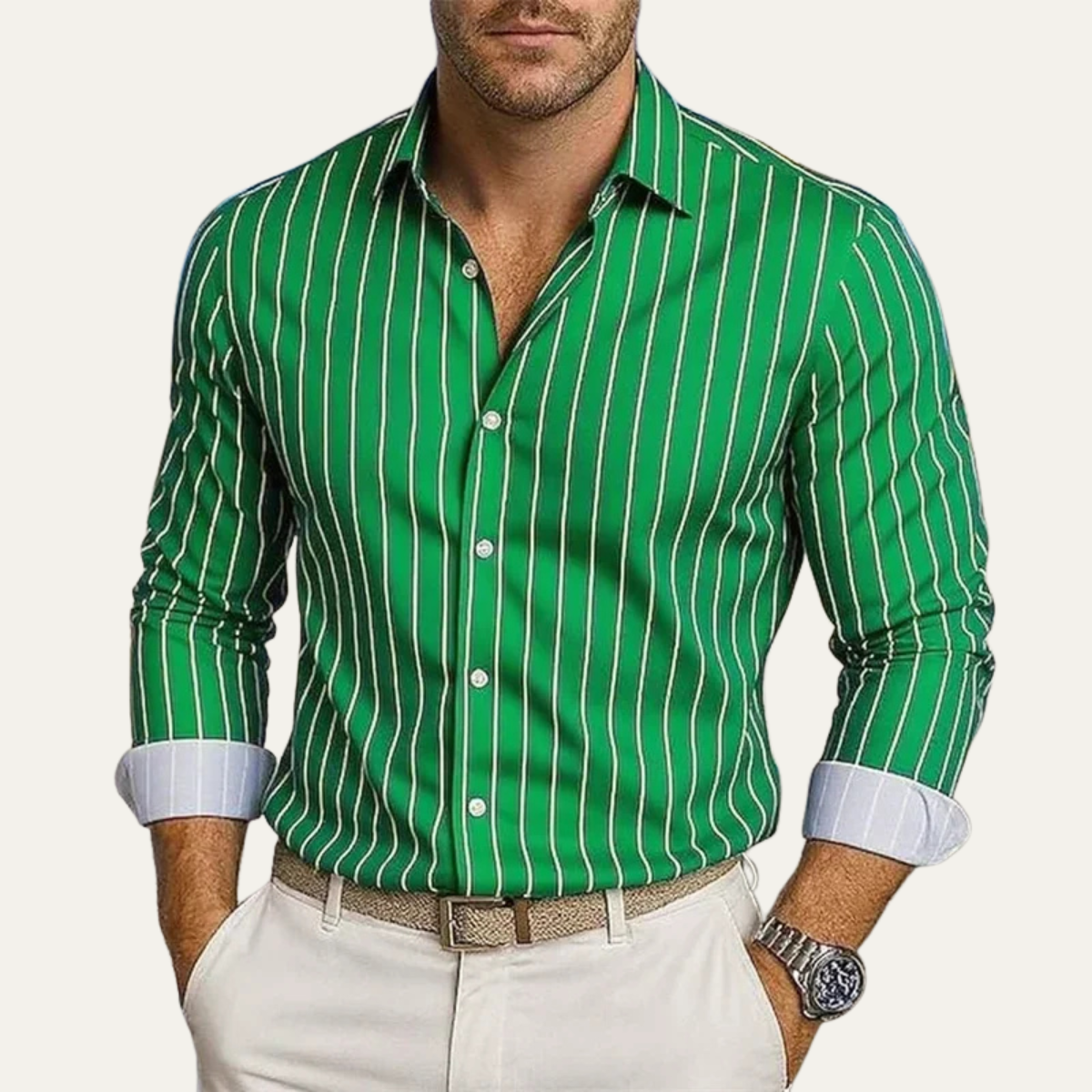 The Bolzano Men’s Trendy Button Down Striped Dress Shirt
