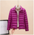 Purple Stand-Up Collar